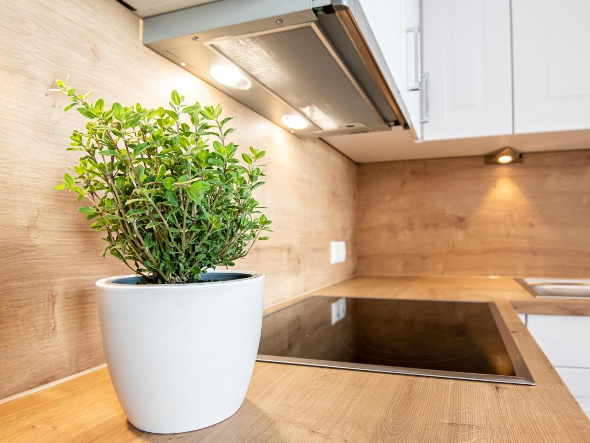 דאהמה Berolina 804 Penthouse Mit Meerblick מראה חיצוני תמונה